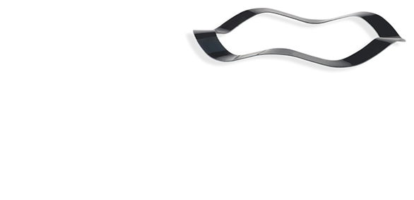 Borrelly Wave Washers