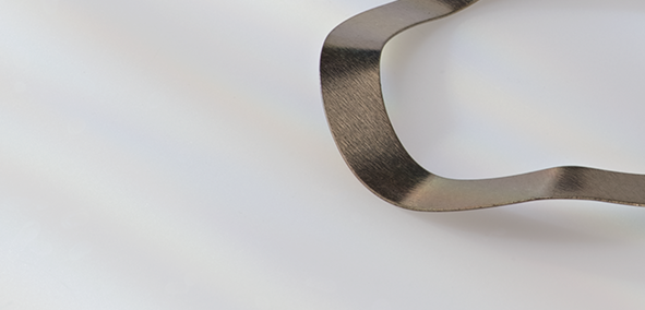 Borrelly Wave Washers