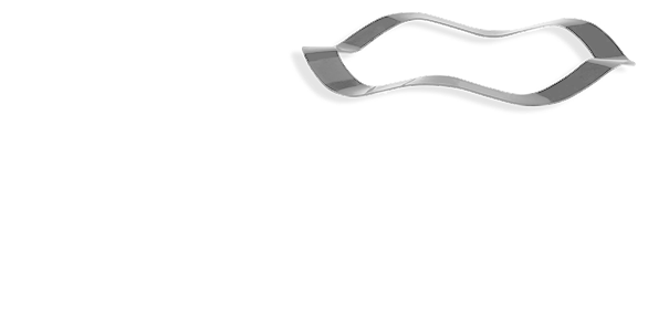Borrelly Wave Washers